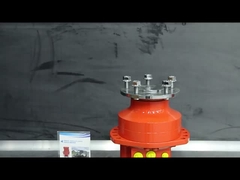 Zindywidualizowany silnik hydrauliczny