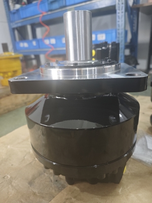 100-125 r/min Tork hydrauliczny silnik żelaza odlewanego Waga 30-110 kg